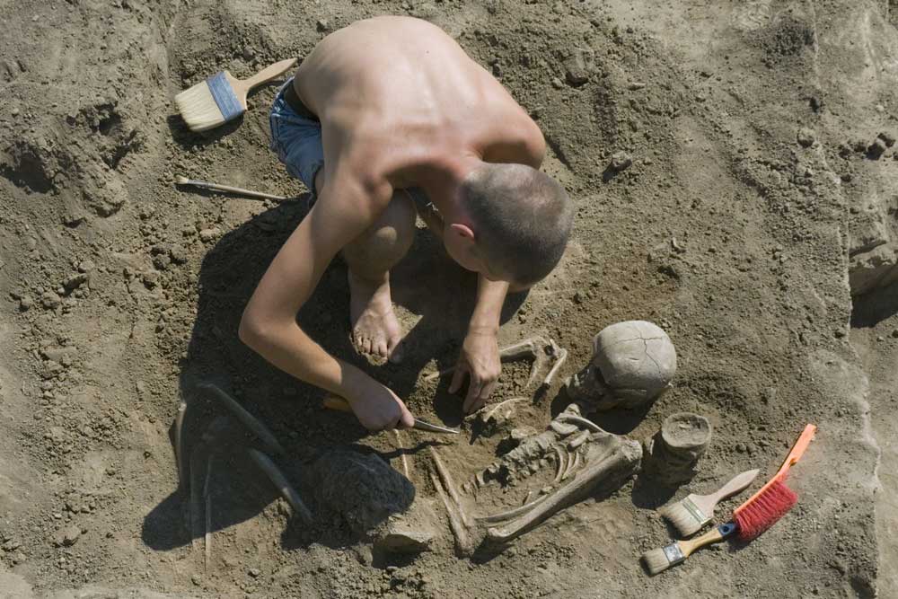 Mise à jour d'un squelette lors de fouilles archéologiques