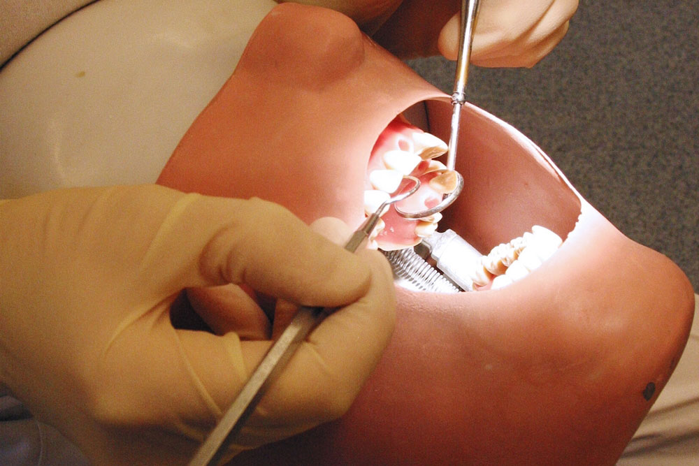 Examen d'une dentition sur une tête artificielle