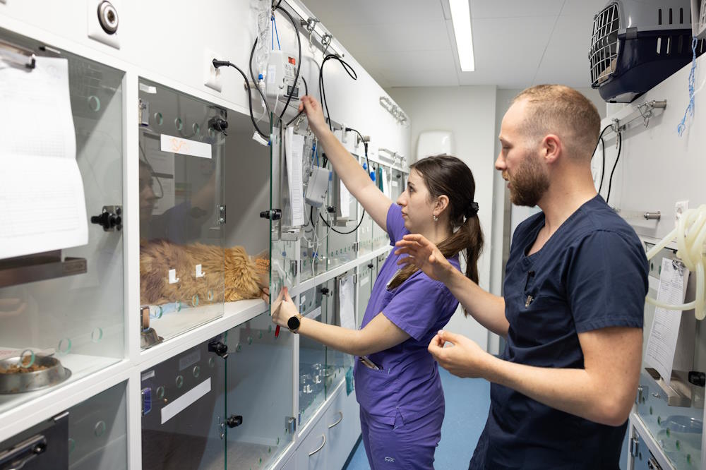 Faire la tournée des patients