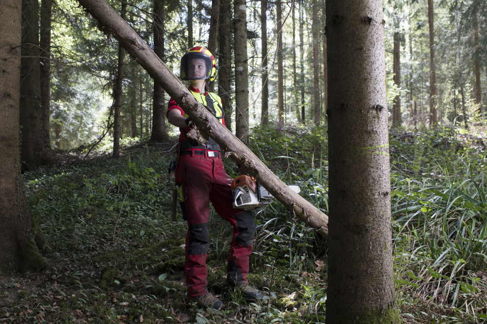 Préparer la coupe de bois