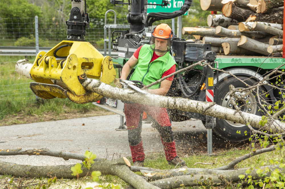 Préparer les arbres pour le transport