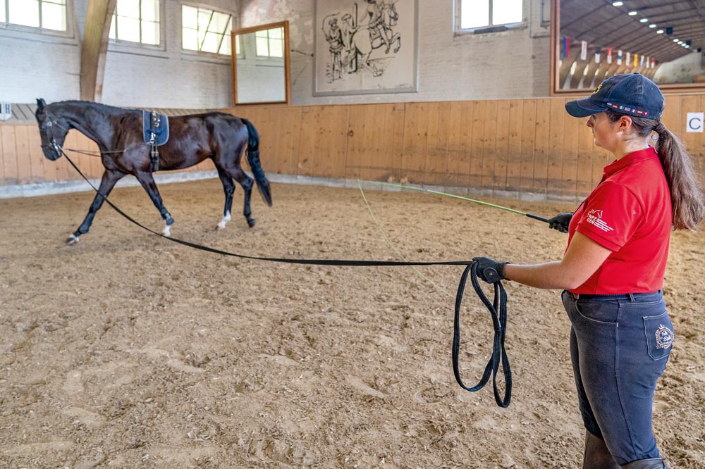 Travail avec le cheval