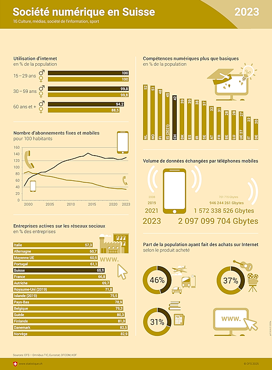 Infographie sur la société numérique en Suisse
