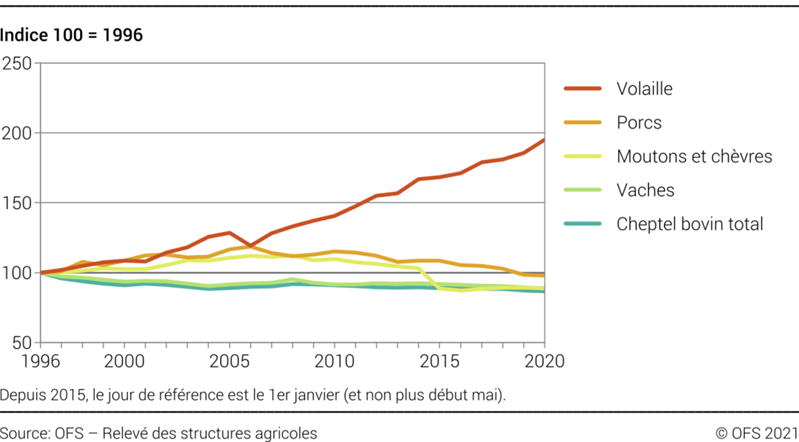 Graphique sur l'évolution des animaux de rente
