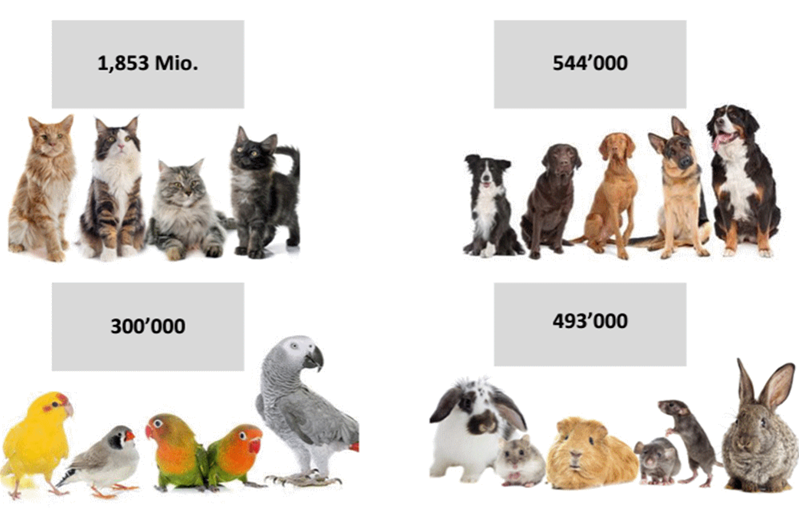 Infographie sur le nombre d'animaux en Suisse en 2022