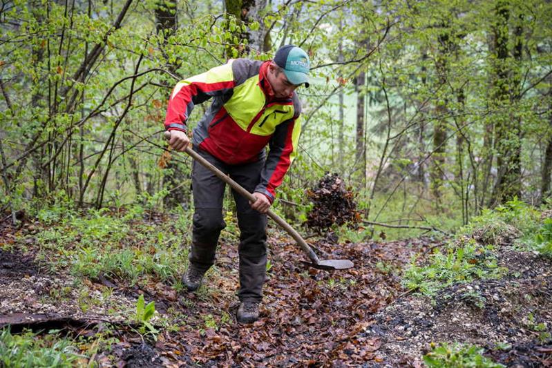 Praticien forestier AFP / Praticienne forestière AFP