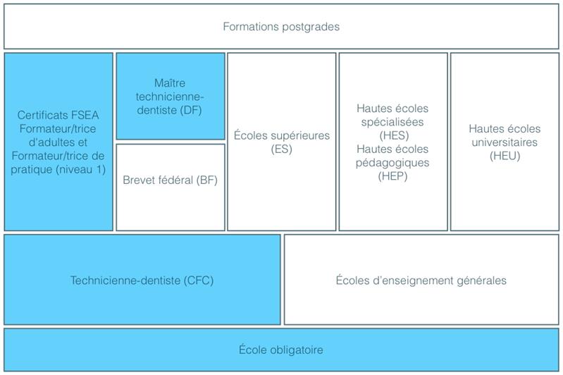 Propriétaire d'un laboratoire dentaire