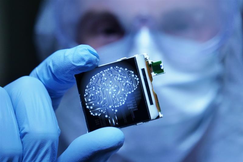 Neurosciences