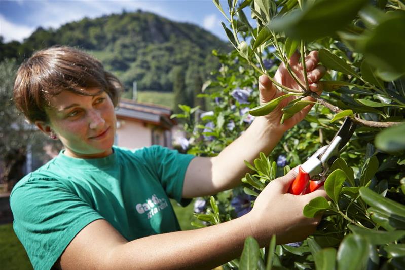 Une femme coupe la branche d'une plante.