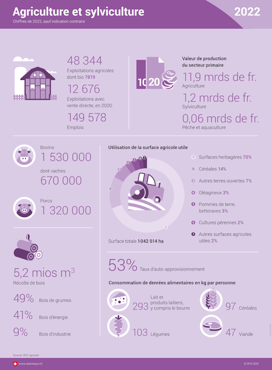 Infographie sur l'agriculture et la sylviculture