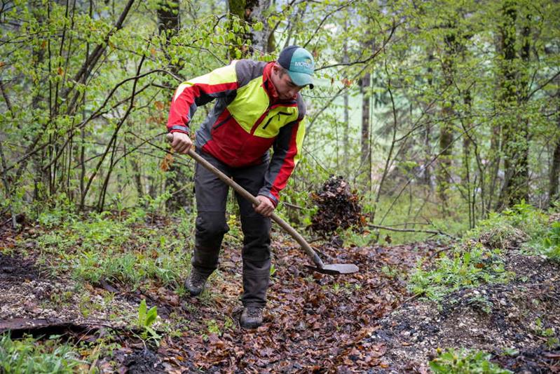 Un apprenti praticien forestier enlève des feuilles mortes avec une pelle.